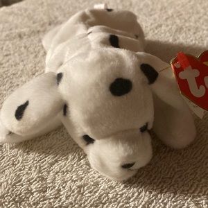 Spotted little doggy super cute name is Spark me date of birth 2/27/96